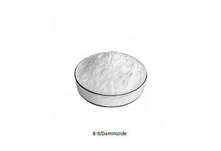 Даминозид (B-Nine/B9) CAS 1596-84-5